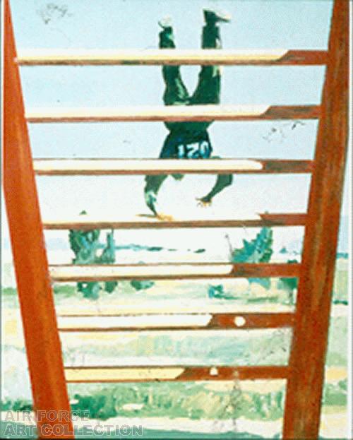 OBSTACLE COURSE #1 (MAN CLIMBING OBSTACLE LADDER)